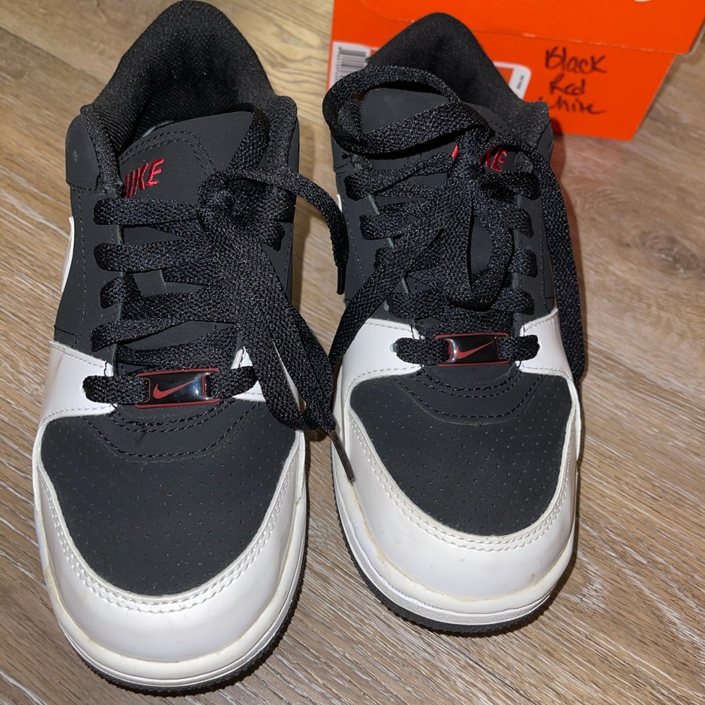 Nike dunk low sneakers